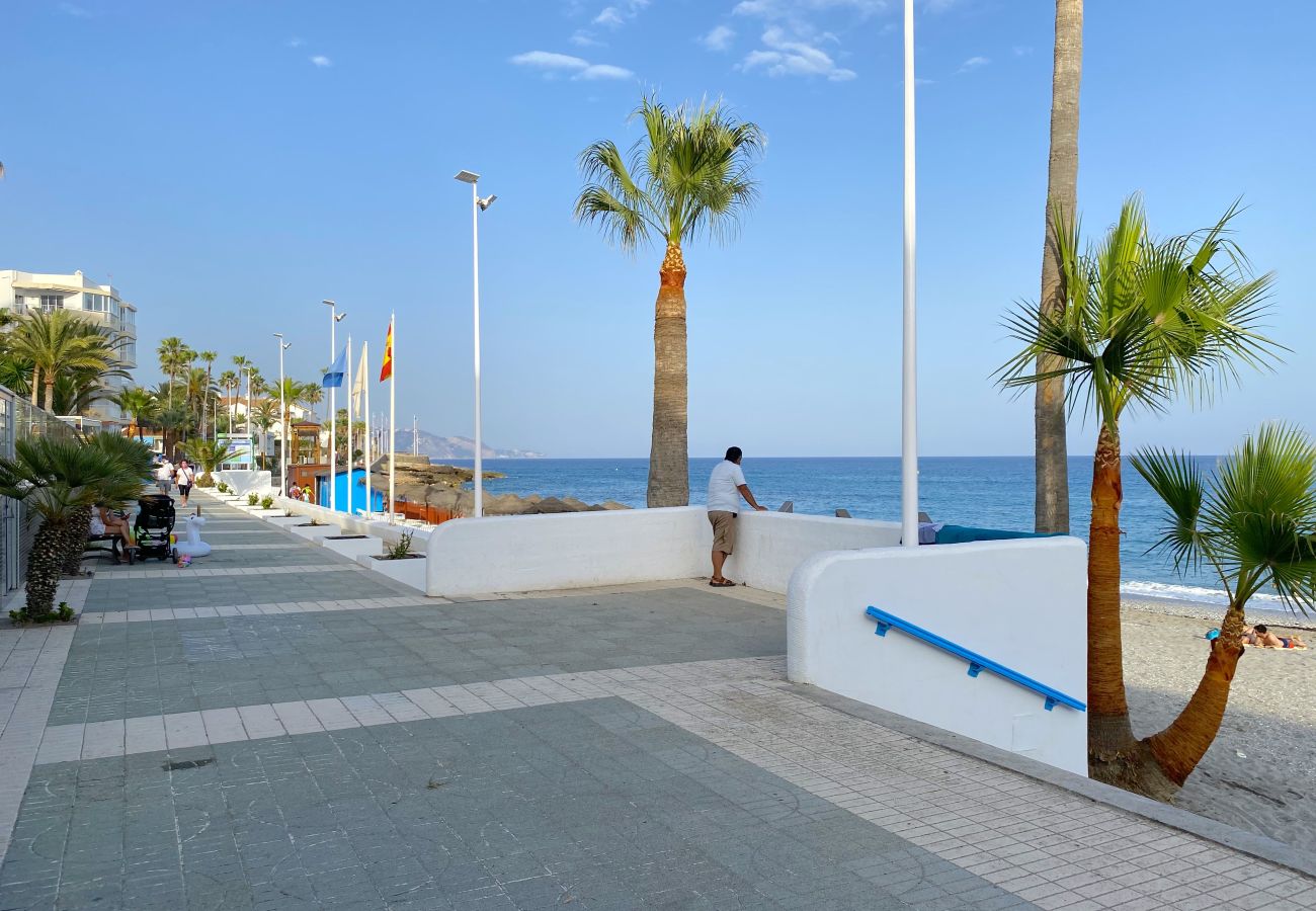 Ferienwohnung in Nerja - Albaida Seaview by Casasol